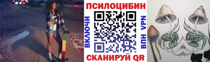 mega вход  Пикалёво  сайты даркнета телеграм  Псилоцибиновые грибы мухоморы 